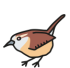 Illustration eines kleinen braunen Zaunkönigs
